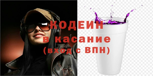 шишки Белокуриха