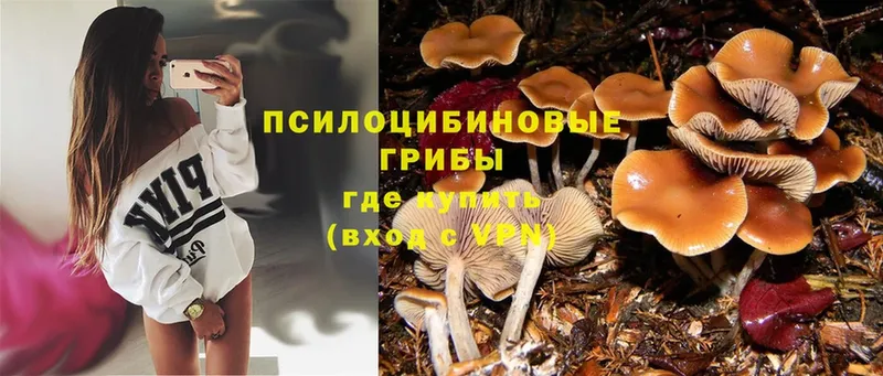 Галлюциногенные грибы Magic Shrooms  Югорск 